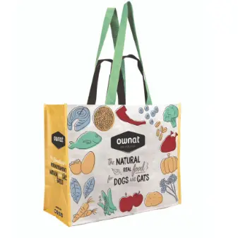 Ownat raphia tas (Frans)