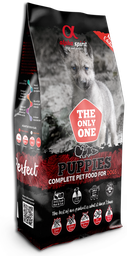 [42015] Alpha Spirit The Only One Chiots