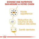 ROYAL CANIN BHN Chihuahua