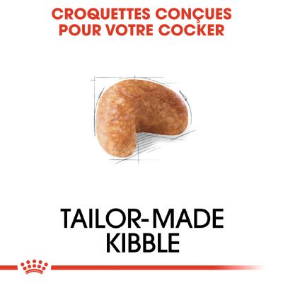 ROYAL CANIN BHN Cocker