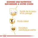 ROYAL CANIN BHN Cocker