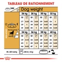 ROYAL CANIN BHN Labrador Retriever Sterilised