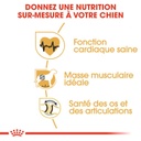 ROYAL CANIN BHN Rottweiler