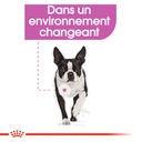 ROYAL CANIN CCN Mini Relax Care