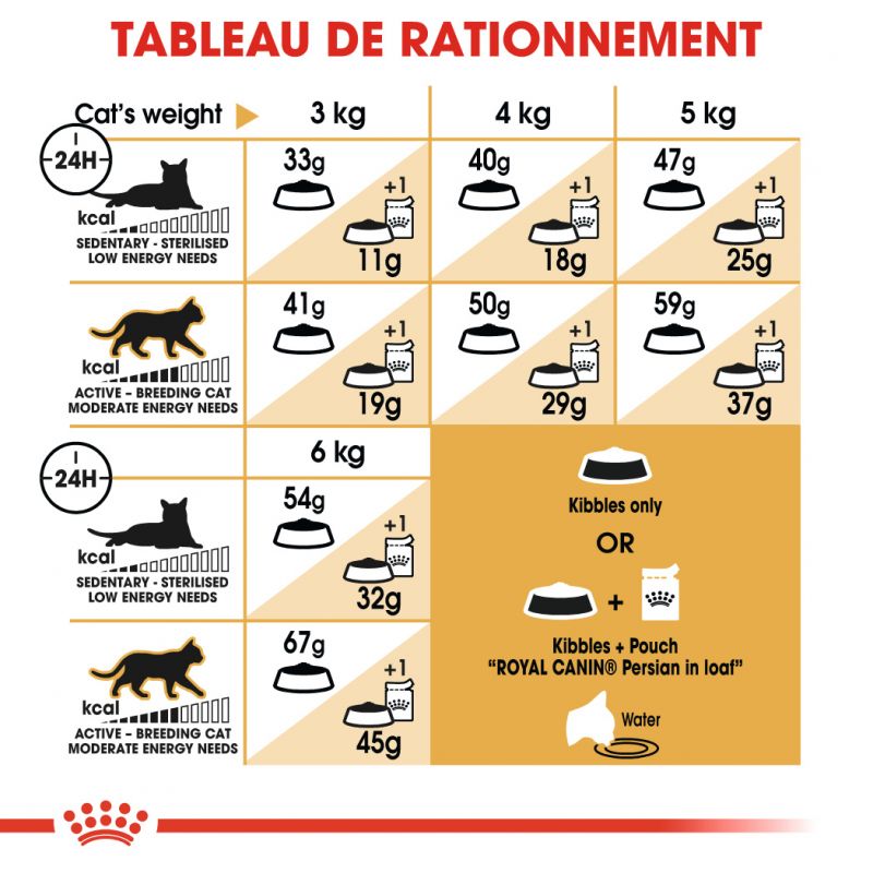 ROYAL CANIN FBN Persian