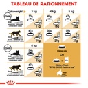 ROYAL CANIN FBN Persian