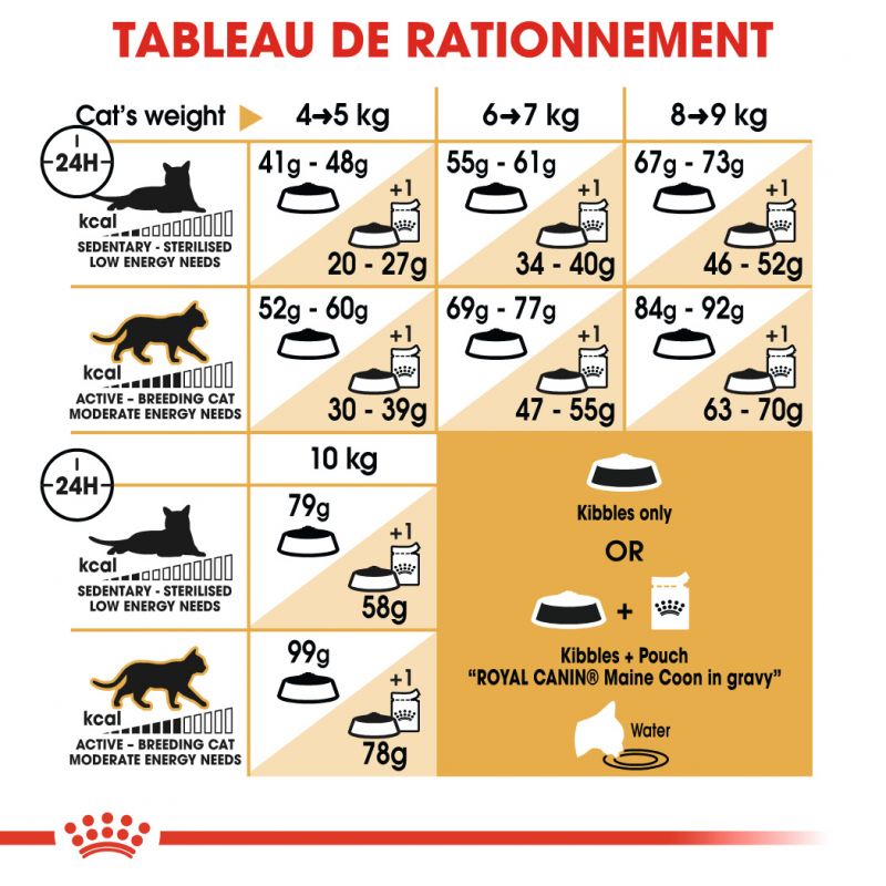 ROYAL CANIN FBN Maine Coon