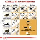 ROYAL CANIN FBN Maine Coon