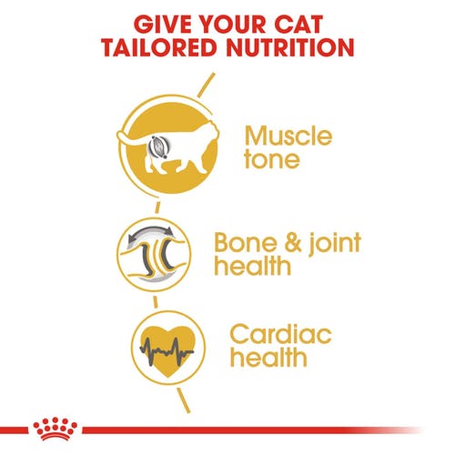 ROYAL CANIN FBN British Shorthair