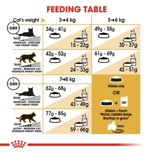 ROYAL CANIN FBN British Shorthair