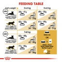 ROYAL CANIN FBN British Shorthair