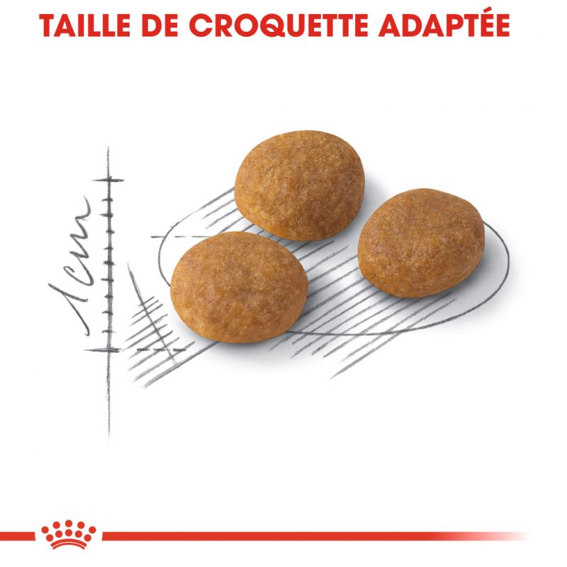 ROYAL CANIN FHN Aroma Exigent