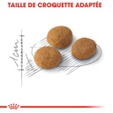 ROYAL CANIN FHN Aroma Exigent