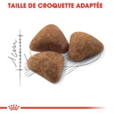 ROYAL CANIN FHN Indoor