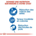ROYAL CANIN FHN Indoor