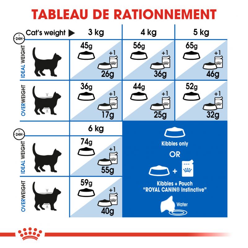 ROYAL CANIN FHN Indoor