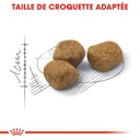 ROYAL CANIN FHN Indoor 7+