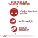 ROYAL CANIN FHN Fit