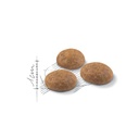 ROYAL CANIN FHN Outdoor