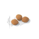 ROYAL CANIN FHN Protein Exigent