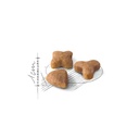 ROYAL CANIN FHN Sensible