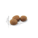 ROYAL CANIN FHN Sterilised