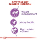 ROYAL CANIN FHN Sterilised