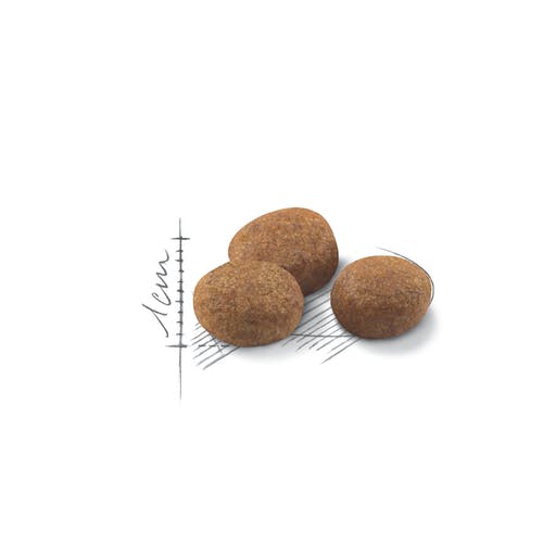 ROYAL CANIN FHN Sterilised 7+