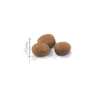 ROYAL CANIN FHN Sterilised 7+