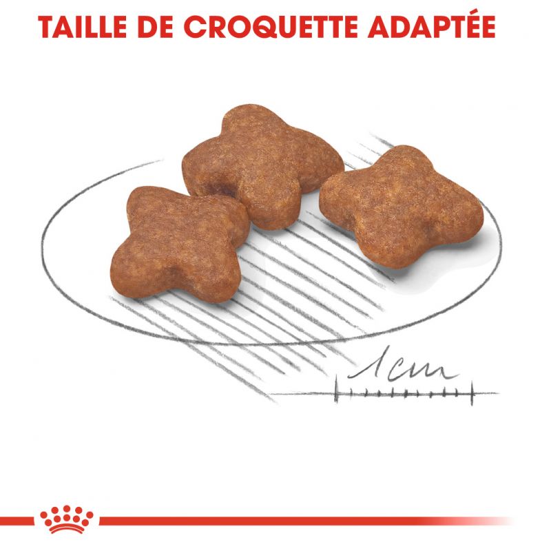 ROYAL CANIN SHN Mini Adult 8+