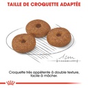ROYAL CANIN SHN Mini Ageing 12+