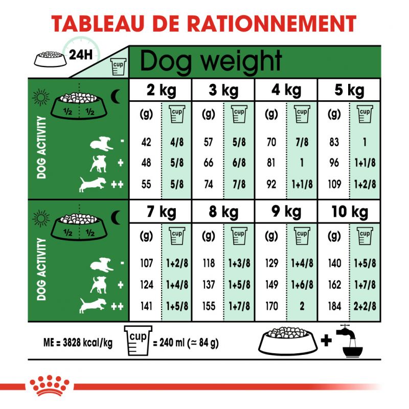 ROYAL CANIN SHN Mini Ageing 12+