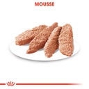ROYAL CANIN CCN Dermacomfort 85G X 12