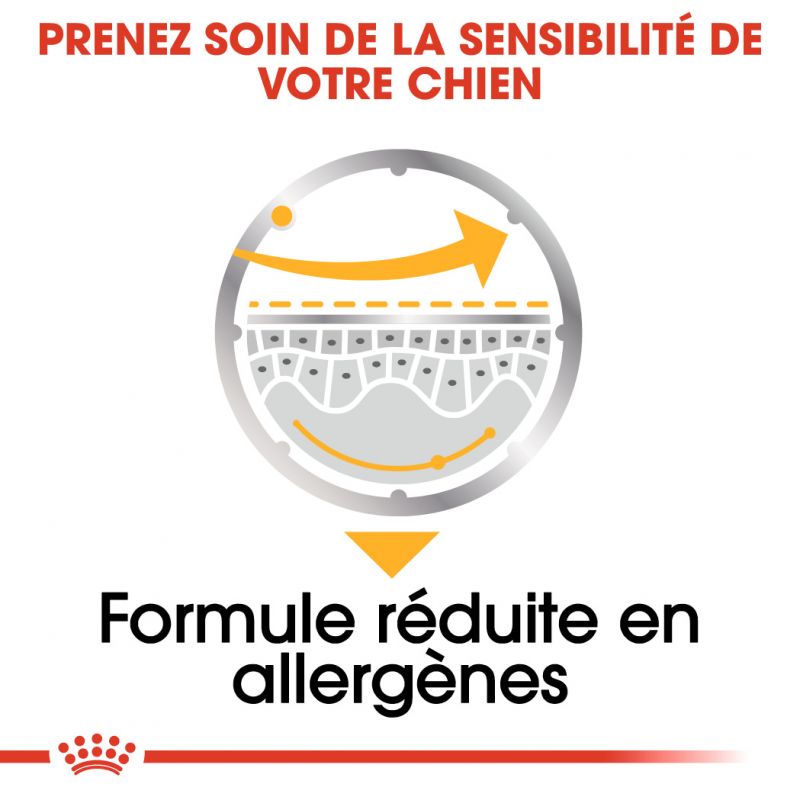 ROYAL CANIN CCN Dermacomfort 85G X 12
