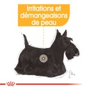 ROYAL CANIN CCN Dermacomfort 85G X 12