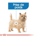 ROYAL CANIN CCN Light Weight Care 85G X 12