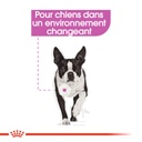 ROYAL CANIN CCN Relax Care 85G X 12
