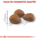 ROYAL CANIN FHN Outdoor 7+