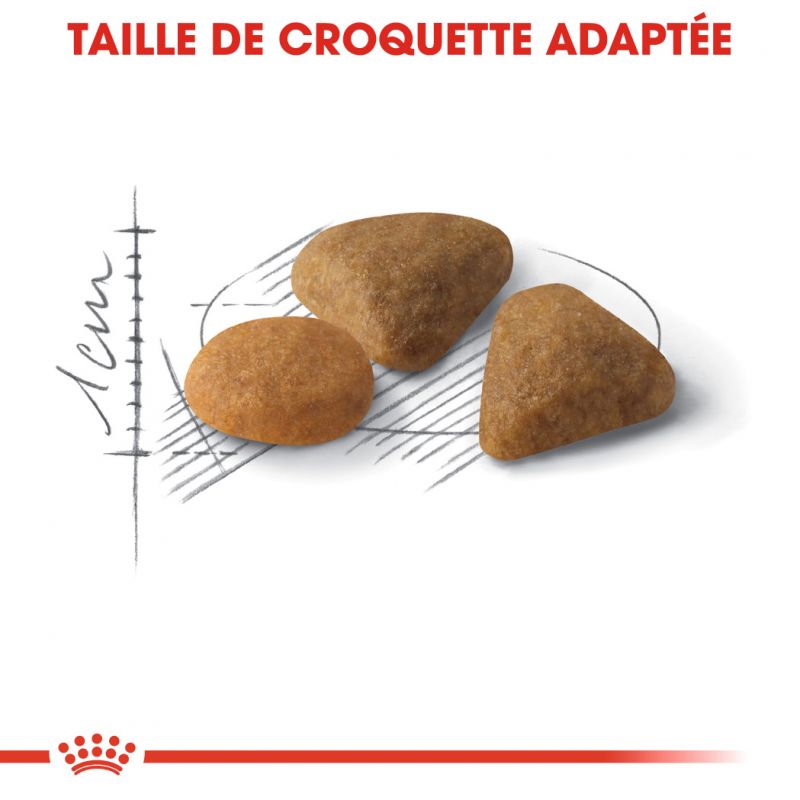 ROYAL CANIN FHN Savour Exigent