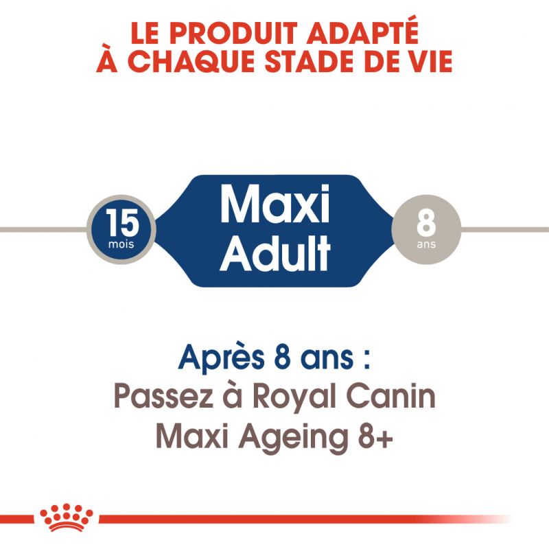 ROYAL CANIN SHN Maxi Adult 140G X 10