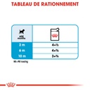 ROYAL CANIN SHN Mini Puppy 85G X 12