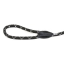 Collier-laisse avec arrêt