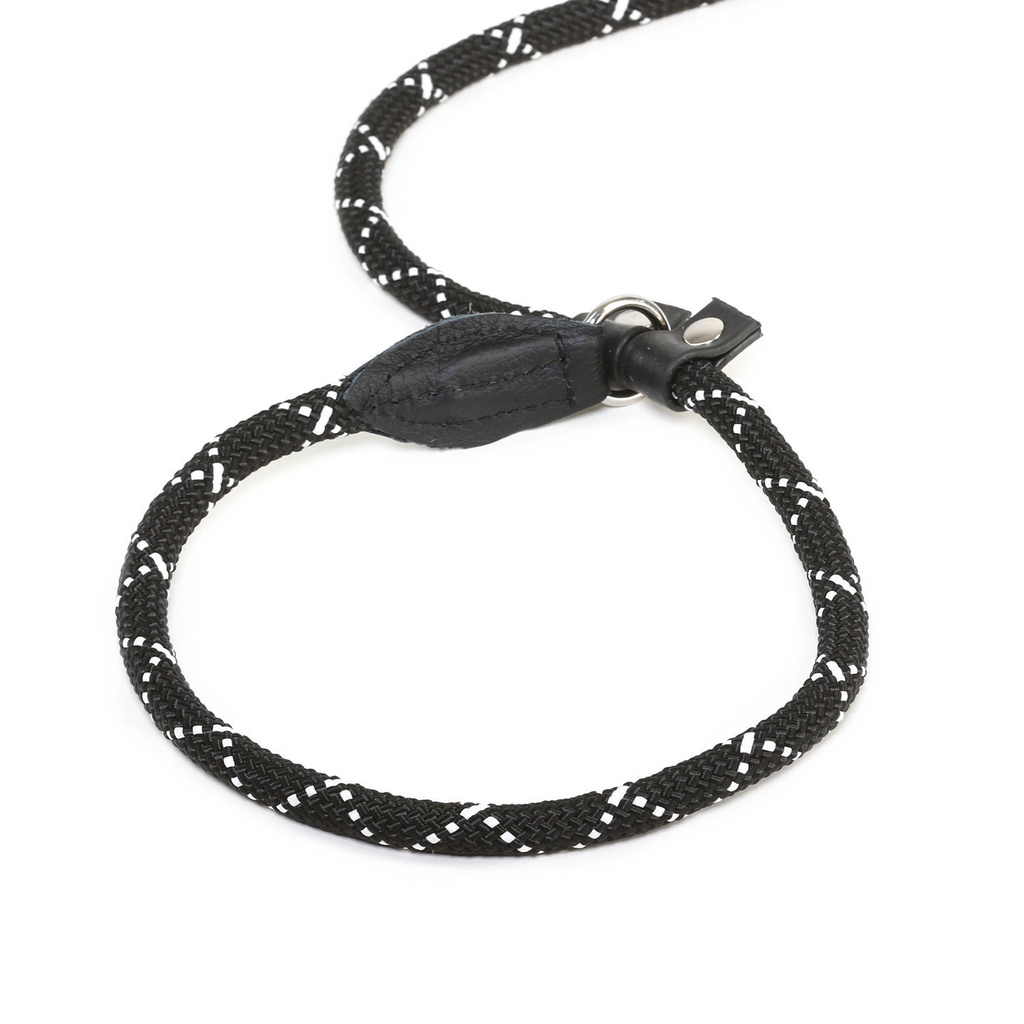 Collier-laisse avec arrêt