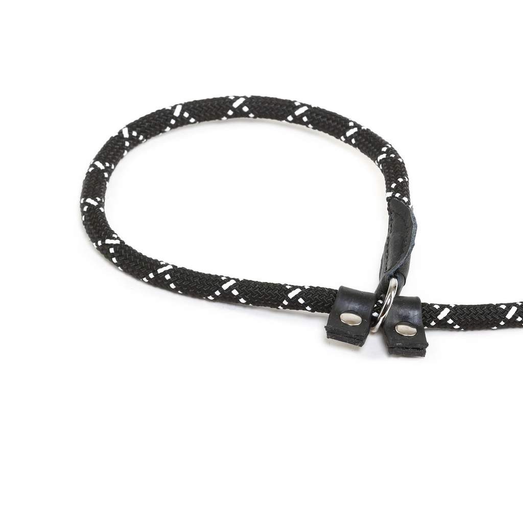 Collier-laisse avec arrêt