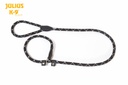 Collier-laisse avec arrêt