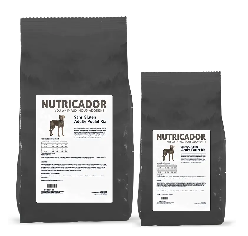 Sans Gluten Adulte Poulet Riz